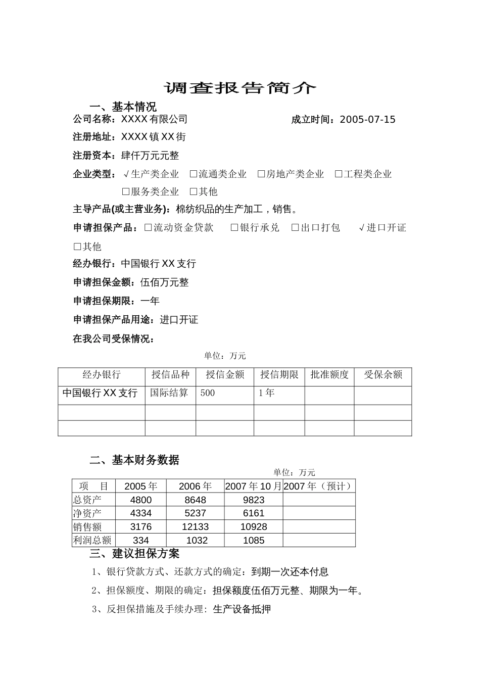 公司类担保调查报告 财务分析、担保业务考察重点和撰写要点[共14页]_第3页