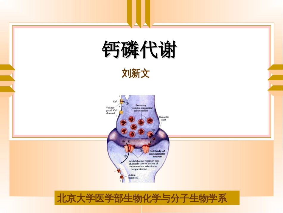 钙磷代谢紊乱的分子学基础[共4页]_第1页