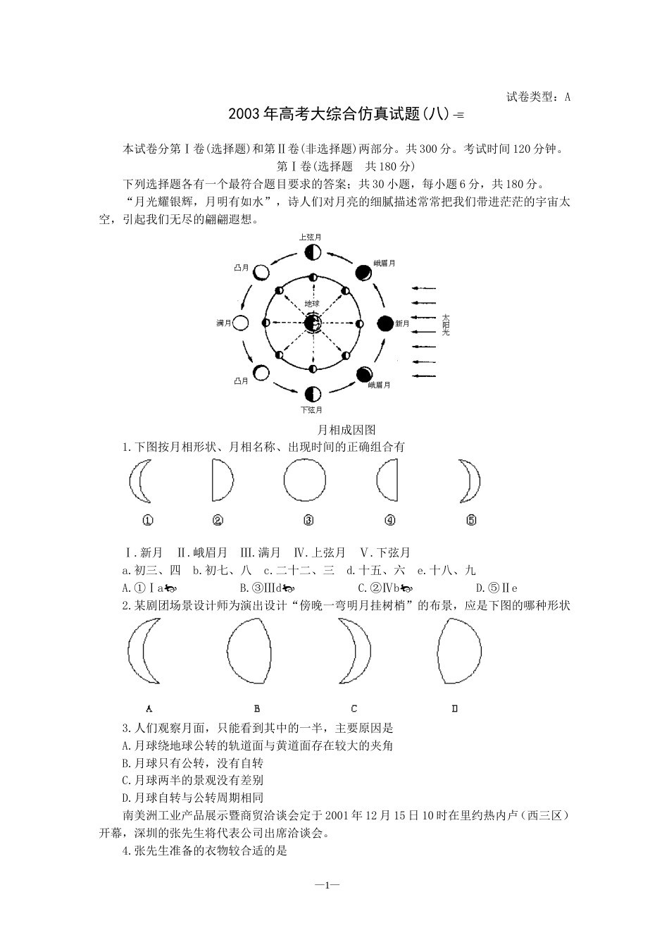 高考大综合仿真试题八_第1页