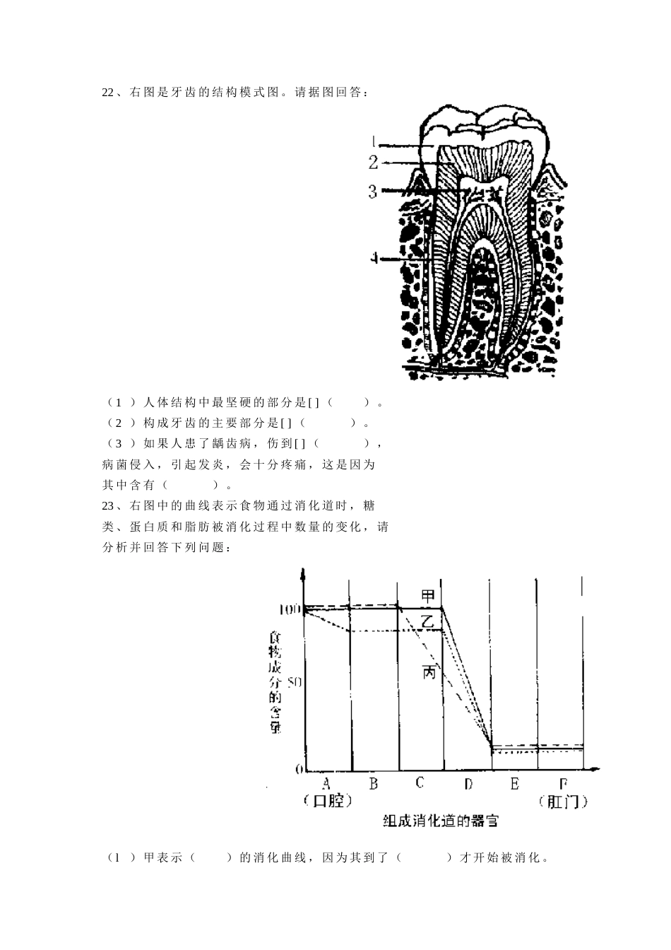 初二年级生物第四单元（第5章）测试题[共4页]_第3页