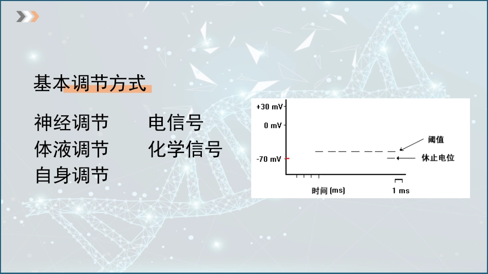 (2)--1.2生理机能调节方式_第3页