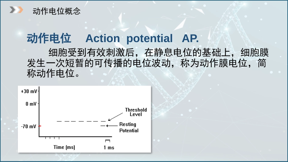 (6)--2.4动作电位动物生理学_第3页