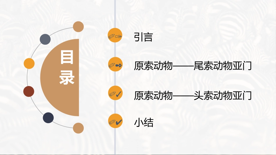 (6)--10.原索动物动物学动物学_第2页