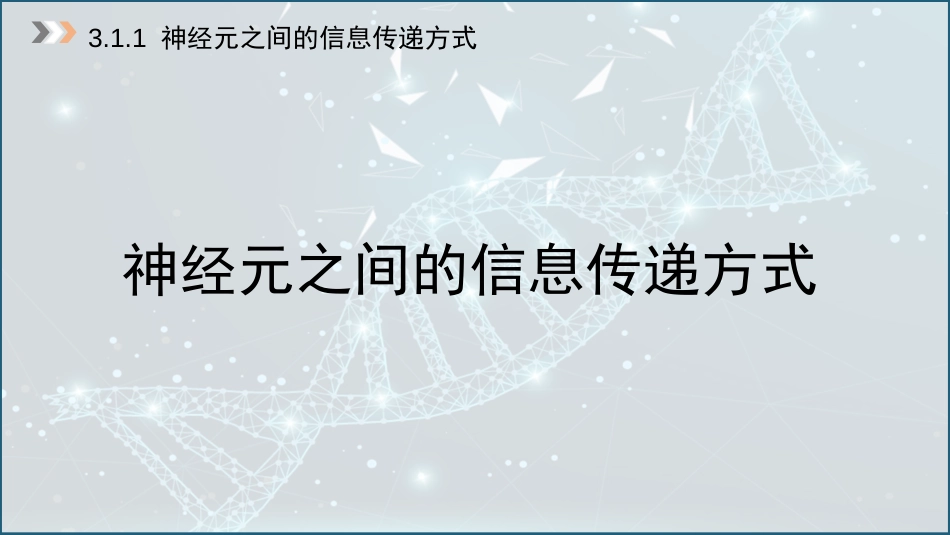 (10)--3.1 中枢神经元兴奋传递_第3页