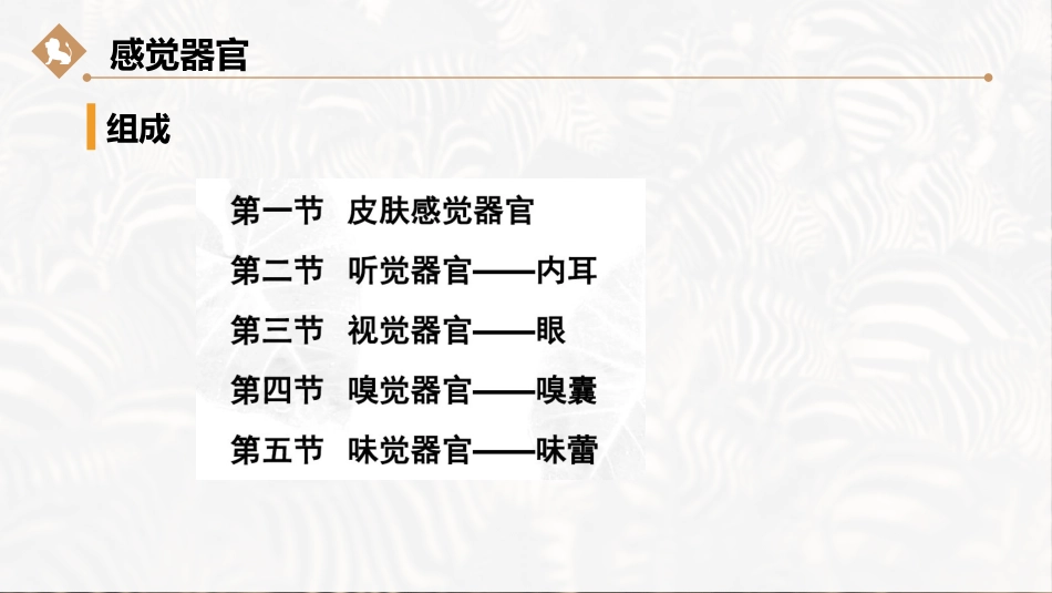 (10)--13.鱼纲感觉器官_第2页