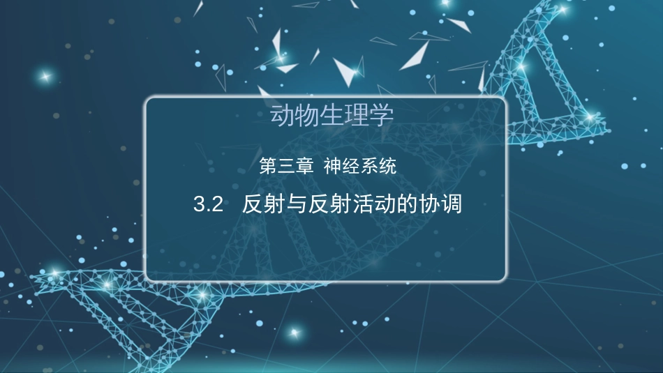 (11)--3.2 反射与反射活动的协调_第1页