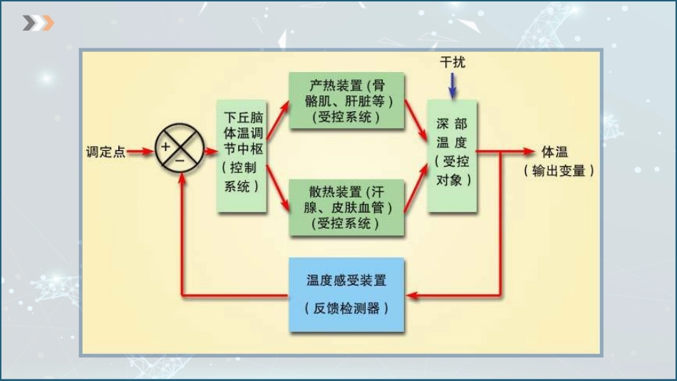 (13)--3.4 体温调节动物生理学_第2页