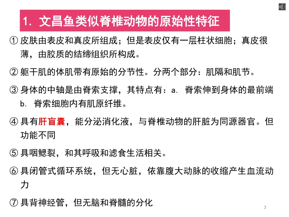 (24)--头索动物动物学动物学_第3页