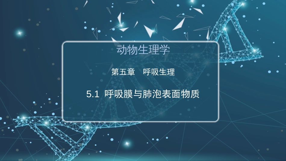 (25)--5.1 呼吸膜与肺表面活性物质_第1页