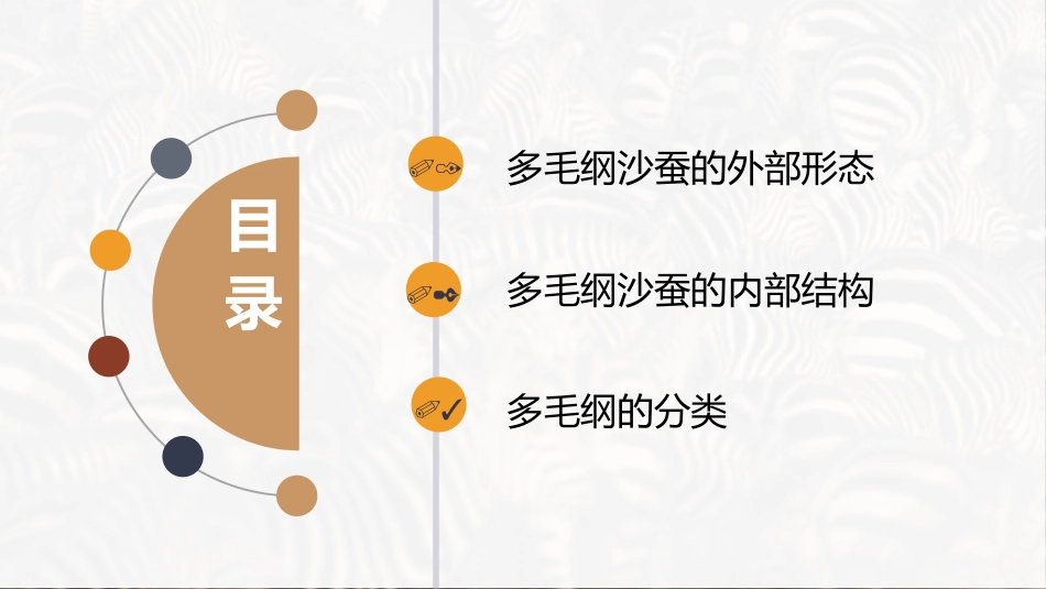 (34)--环节动物门-多毛纲_第2页