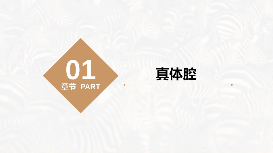 (35)--环节动物门的主要特征_第3页