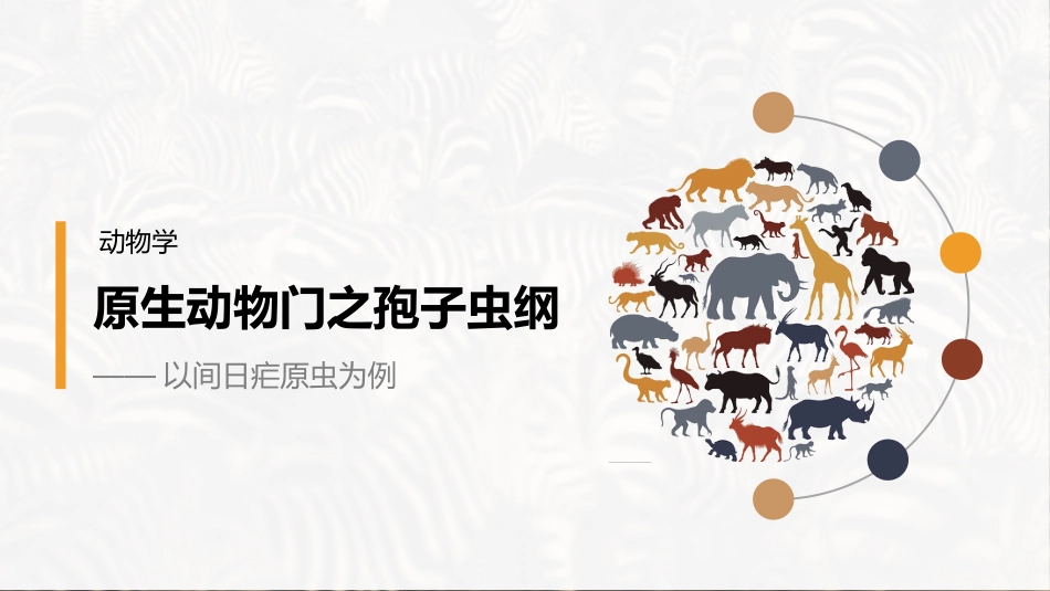 (36)--疟原虫动物学动物学_第1页