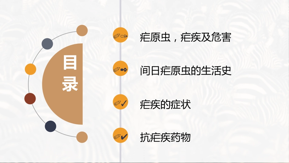 (36)--疟原虫动物学动物学_第3页