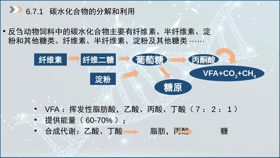 (41)--6.7 瘤胃内碳水化合物的消化与吸收_第2页