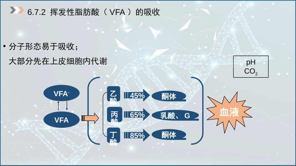 (41)--6.7 瘤胃内碳水化合物的消化与吸收_第3页