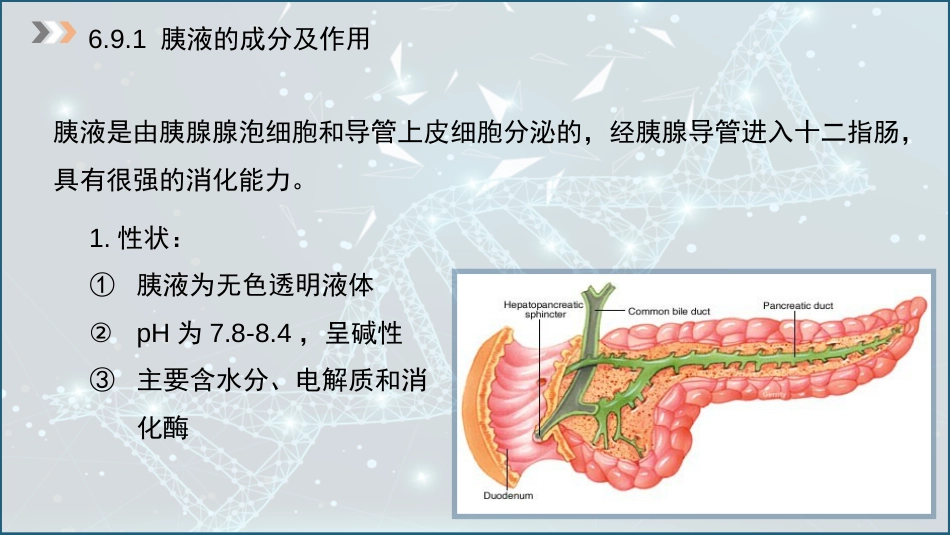 (43)--6.9 胰液的成分及分泌调节_第3页