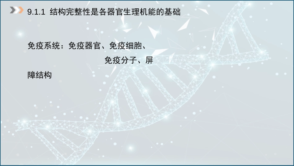 (44)--9.1免疫系统的结构与功能_第3页