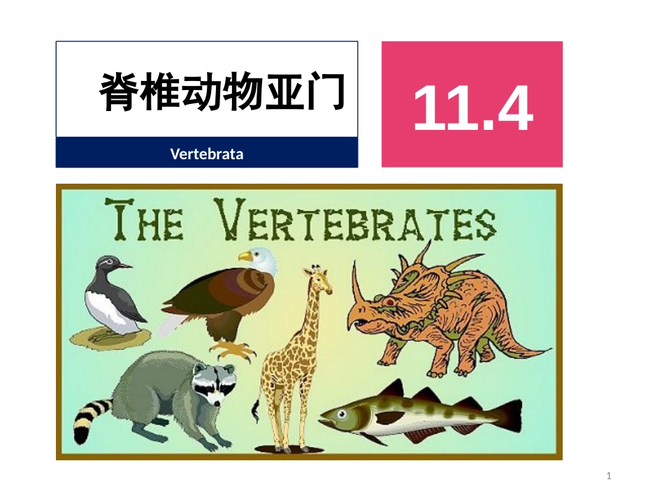 (44)--脊椎动物简介动物学_第1页