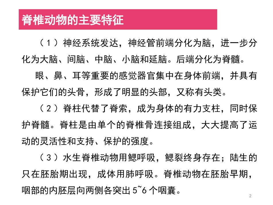 (44)--脊椎动物简介动物学_第2页