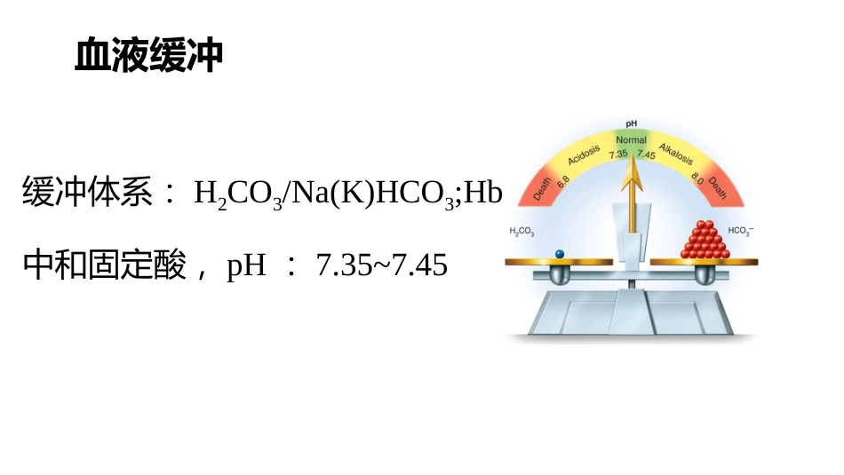 (53)--7.5动物生理学课件_第3页