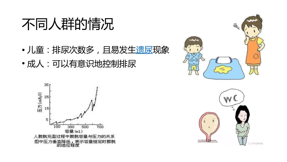 (57)--7.9动物生理学课件_第2页