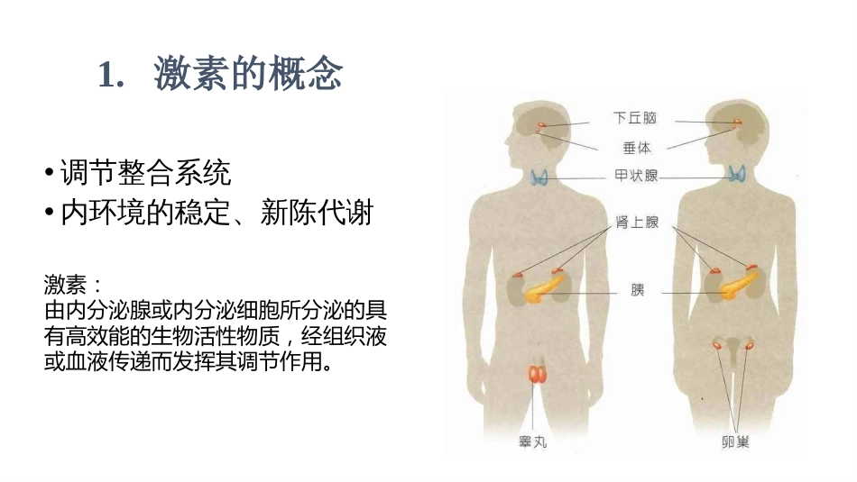 (58)--8.1动物生理学课件_第2页