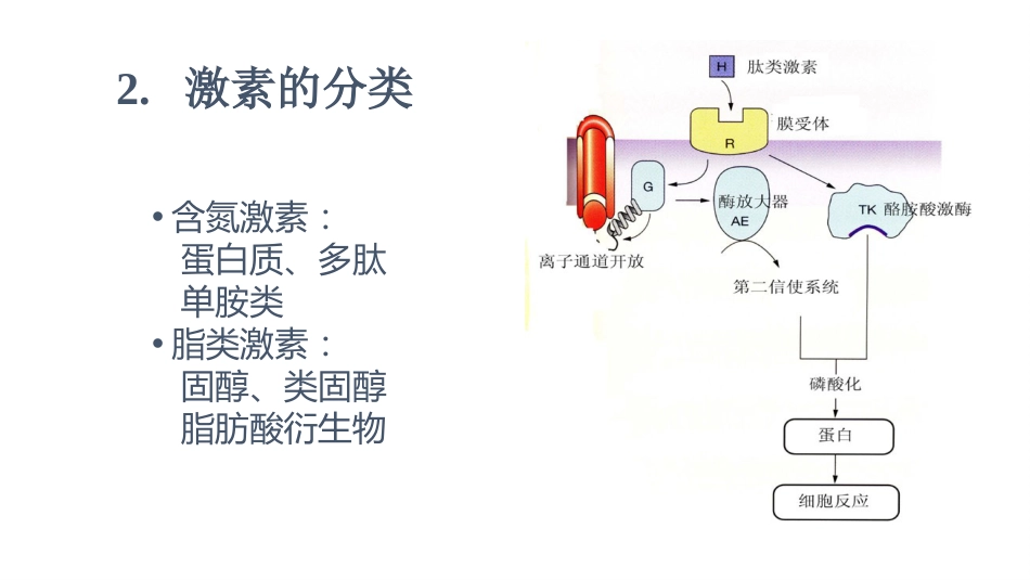 (58)--8.1动物生理学课件_第3页