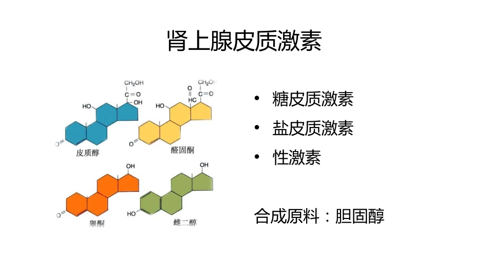 (65)--8.8动物生理学课件_第3页