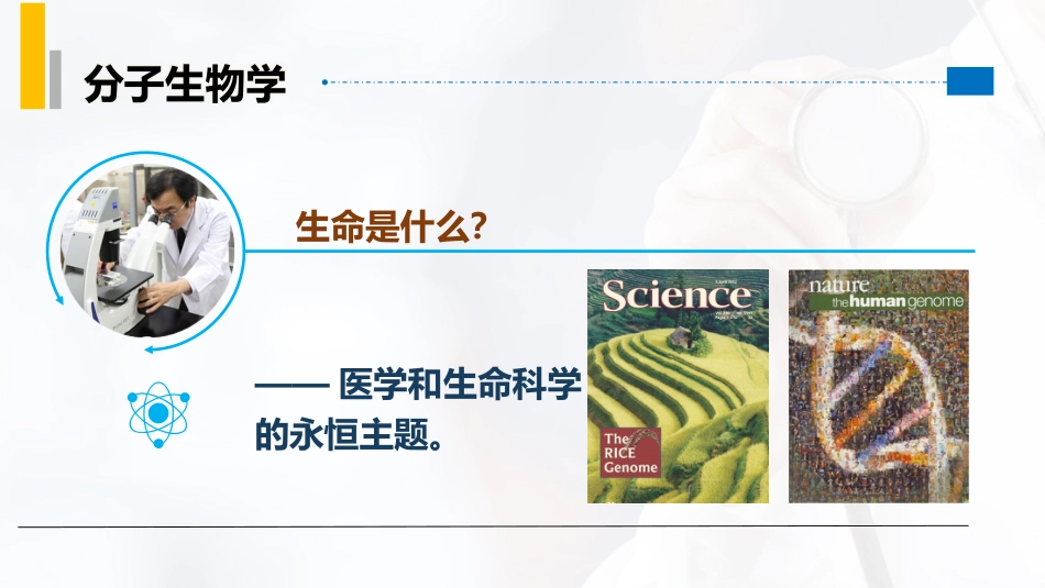 (1)--1.1分子生物学的课程性质_第2页