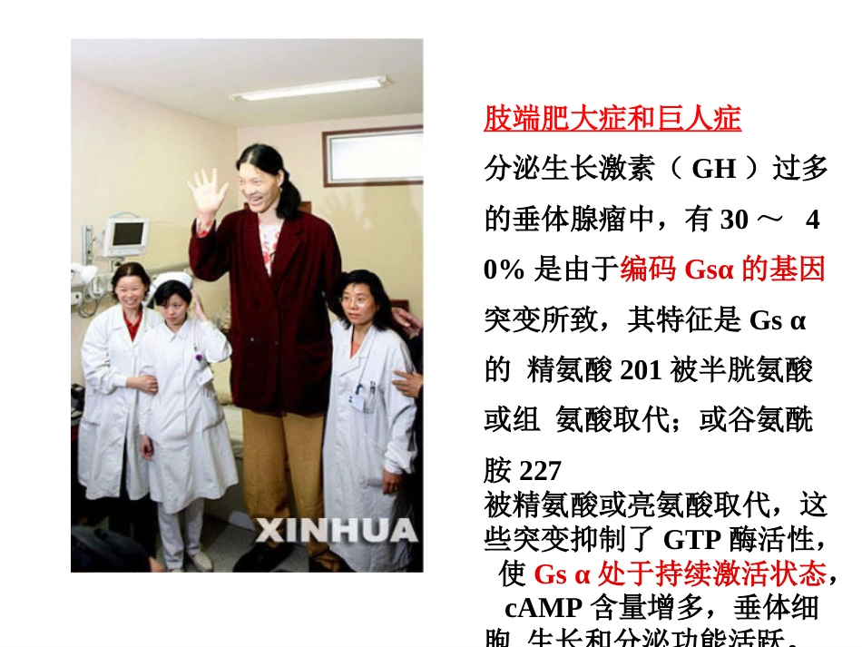 (2)--1.本讲导言分子生物学_第3页