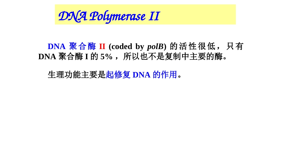 (3)--3原核细胞DNA复制分子生物学及常用技术_第3页