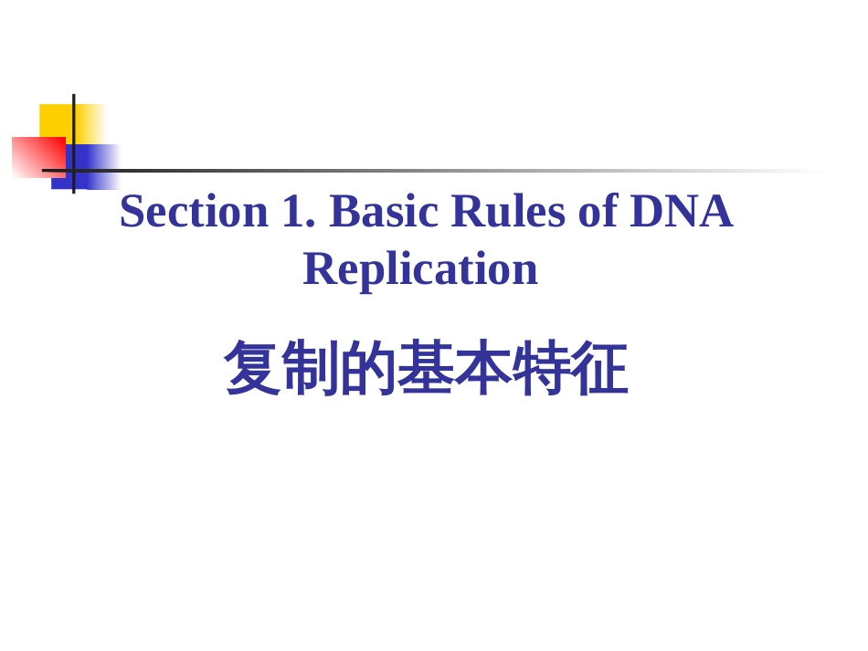 (4)--2-2 复制的基本规律2-半不连续复制_第2页