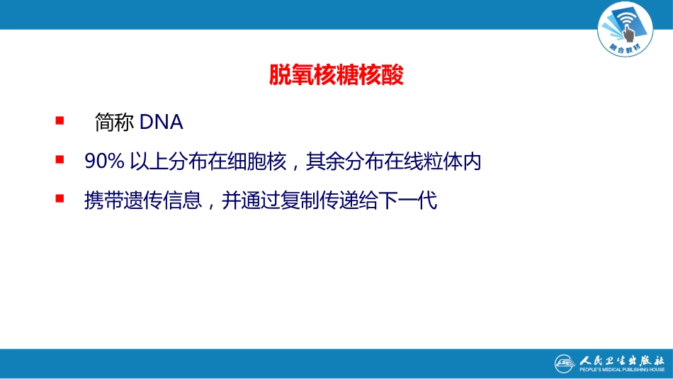 (6)--2.1核酸的化学组成_第2页