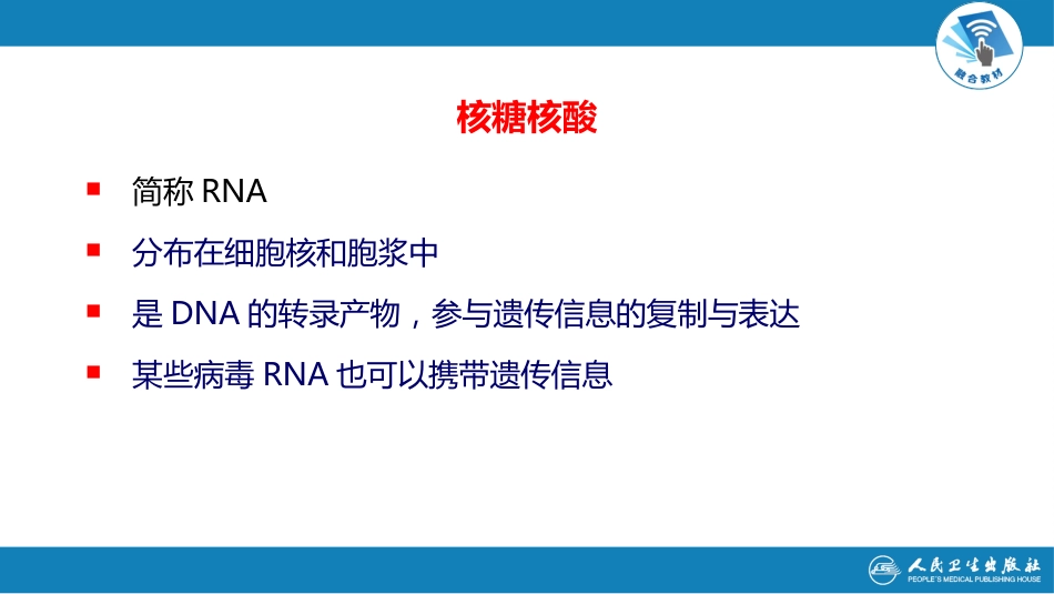 (6)--2.1核酸的化学组成_第3页