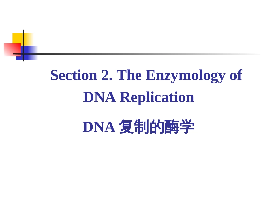 (6)--2-4 复制的酶学2-其他酶类_第2页