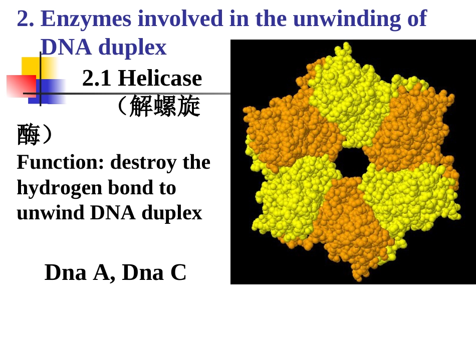 (6)--2-4 复制的酶学2-其他酶类_第3页