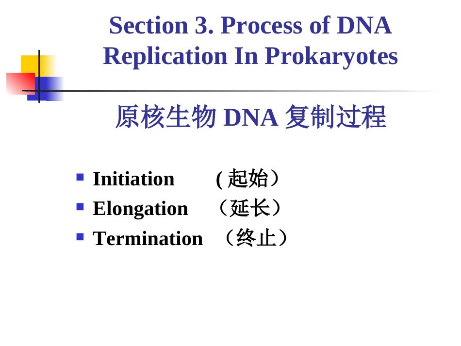 (7)--2-5 原核生物复制过程_第2页