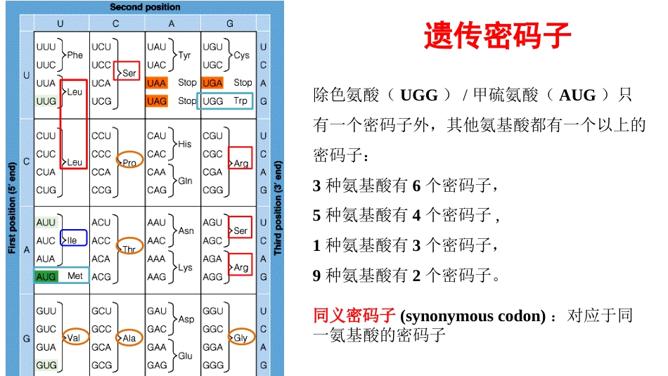 (9)--9 蛋白质合成二分子生物学及常用技术_第2页