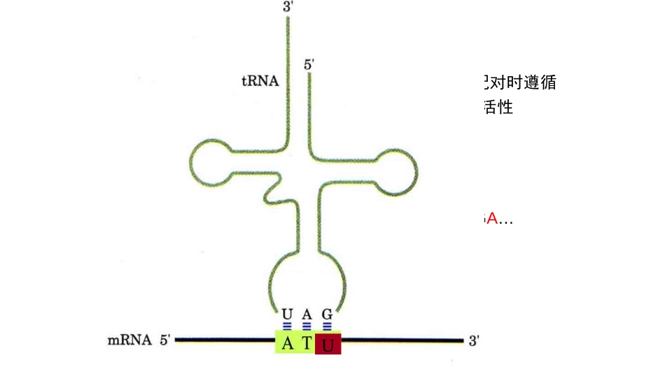 (9)--9 蛋白质合成二分子生物学及常用技术_第3页