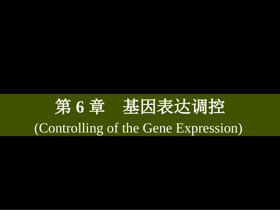 (10)--分子生物学分子生物学_第2页