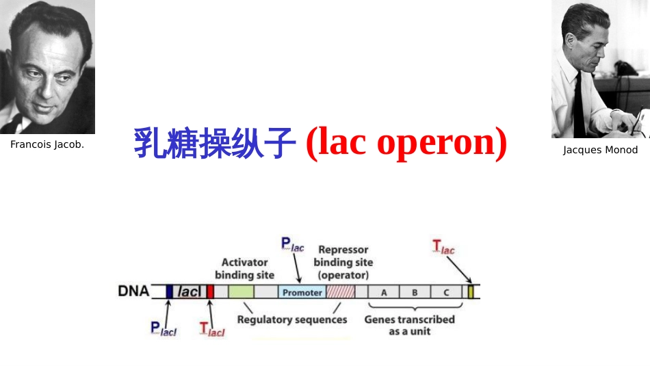 (11)--11 乳糖操纵子分子生物学及常用技术_第1页