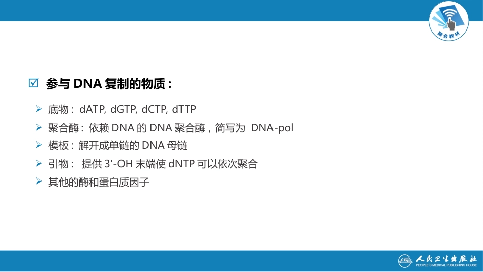 (12)--3.2 DNA聚合酶分子生物学_第2页