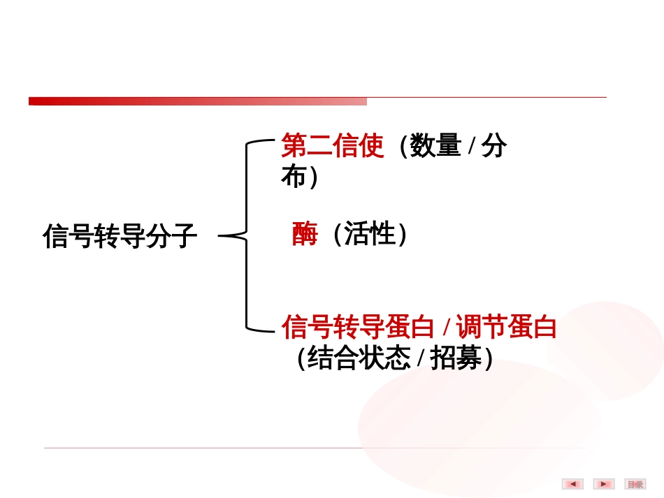 (12)--3.细胞内信号转导分子——第二信使_第2页