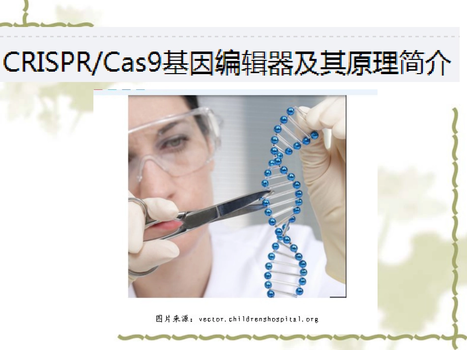 (12)--CRISPR分子生物学分子生物学_第1页