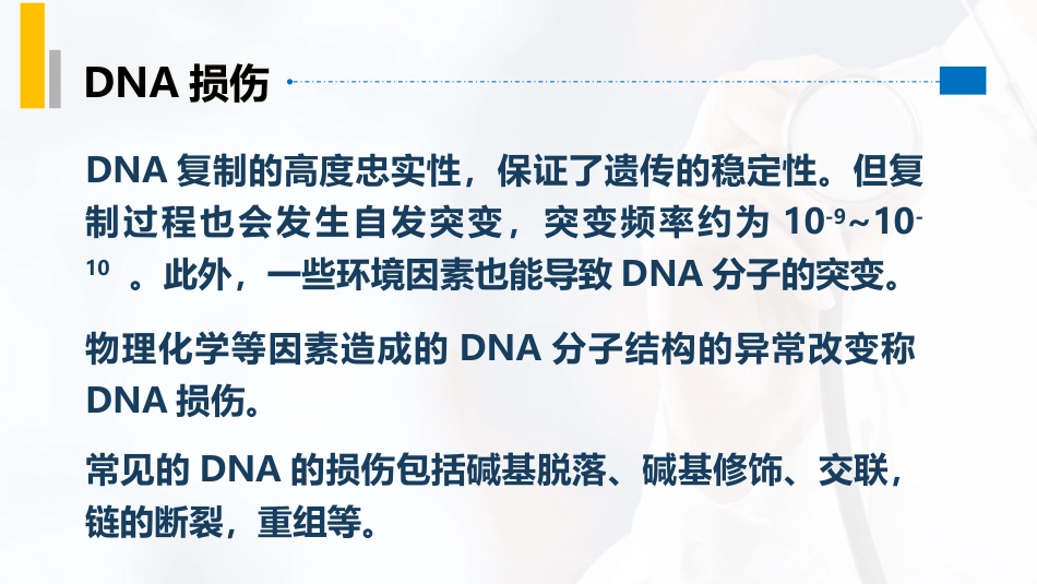 (13)--3.10DNA的损伤分子生物学_第2页