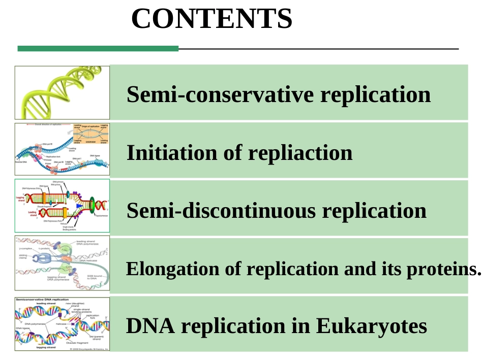 (13)--Chapter 2 DNA replication分子生物学分子生物学_第3页