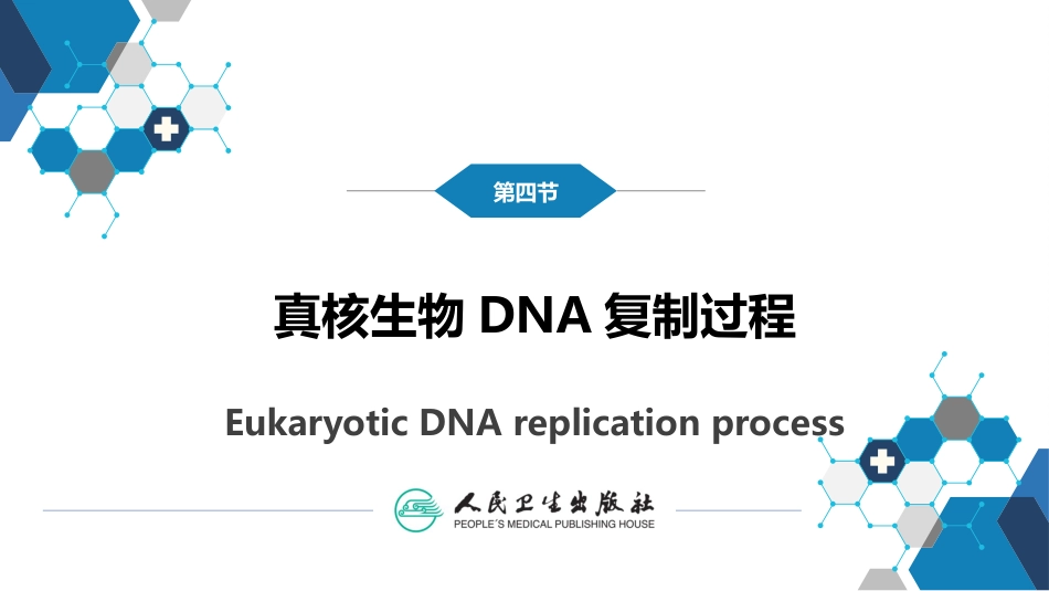 (15)--3.5真核生物DNA复制_第1页