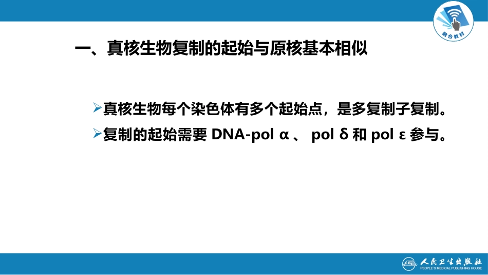 (15)--3.5真核生物DNA复制_第2页