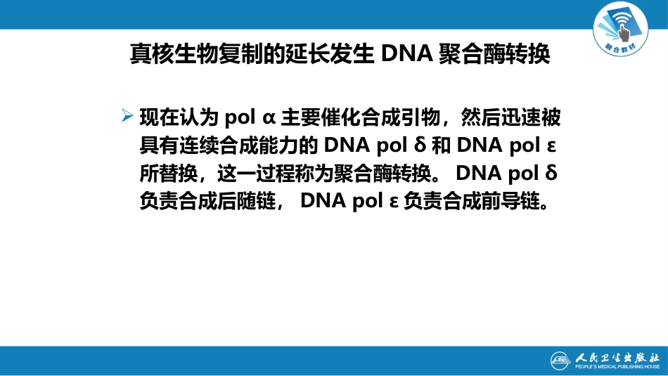 (15)--3.5真核生物DNA复制_第3页