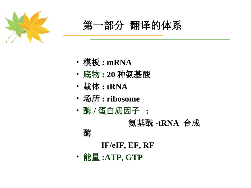 (15)--5-1 翻译的体系分子生物学_第3页